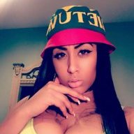 ExoticCatty