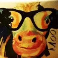 MyNameIsMoo
