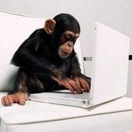 CommonMonkey