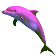 Jaelka