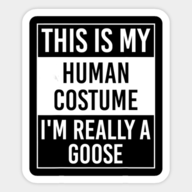 Goooooooose