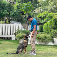 mohitk9trainer