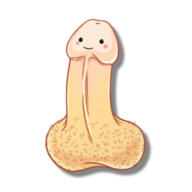 FAPulous777