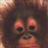 muek