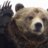 ForumBear