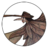 VeniVidiVixi