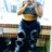 Londonnlov3