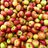 appleslotsofapples