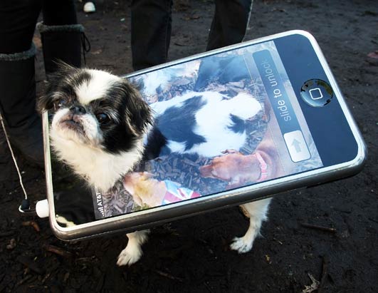 iphonedogcostume.jpg