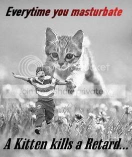 kittenkills.jpg