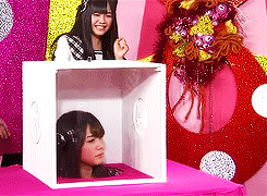 tumblr_mk55xzq2OP1rv4ntqo8_250.gif