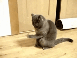 ysuwe1m.gif