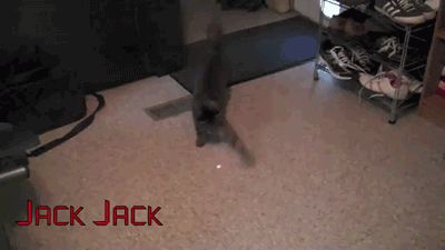 4odW2.gif
