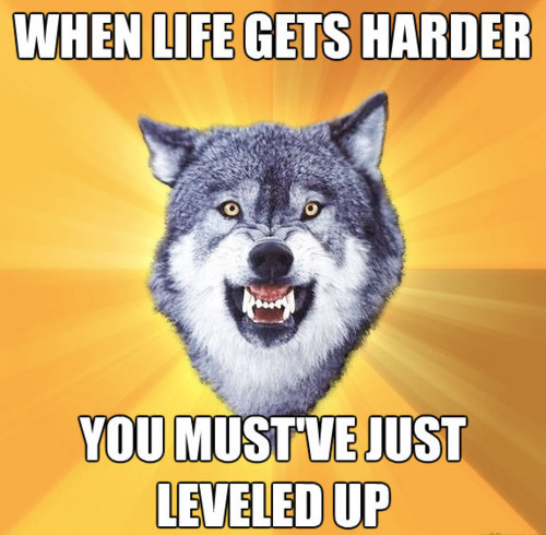 tumblr_ljycvrq4ub1qgdwx2o1_500.jpg