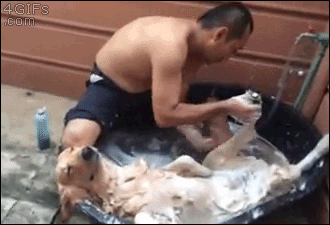 tumblr_nbixn3niUZ1qdlh1io1_r2_400.gif