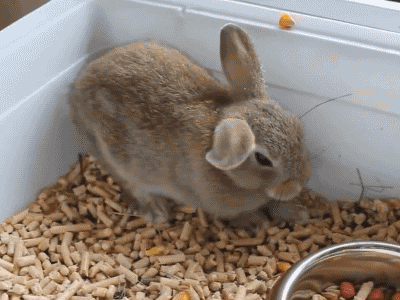 tumblr_n2yvhkKOOR1s96utdo1_400.gif