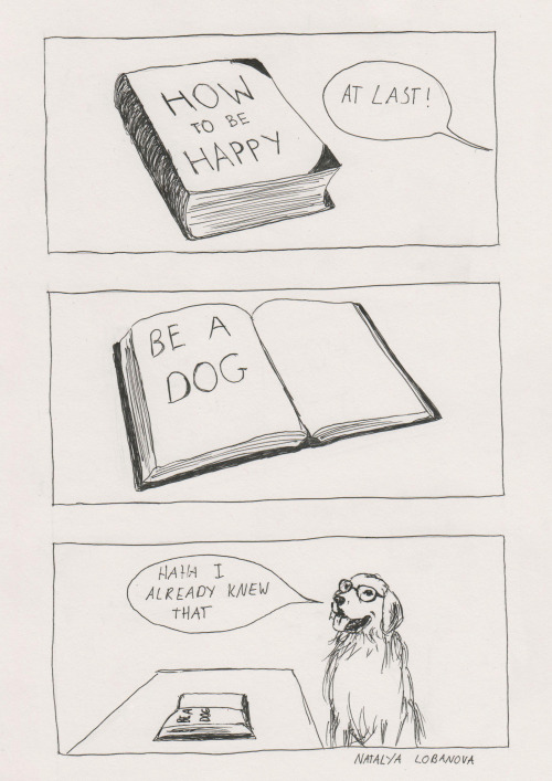 tumblr_n32idhpQbV1qhgbvlo1_500.jpg