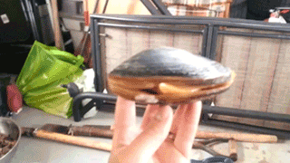 vabjJiw.gif