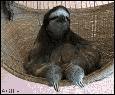 tumblr_m7roieaOm01qdlh1io1_250.gif