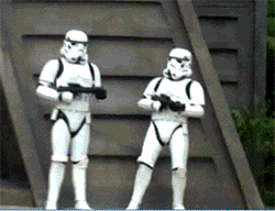 20879r8.gif