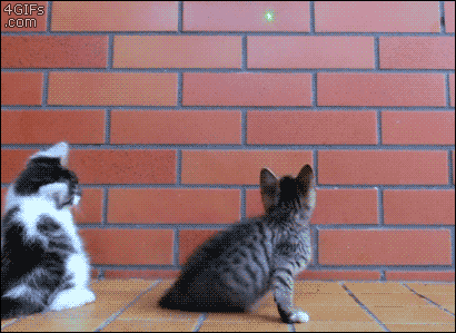 MCDM4.gif