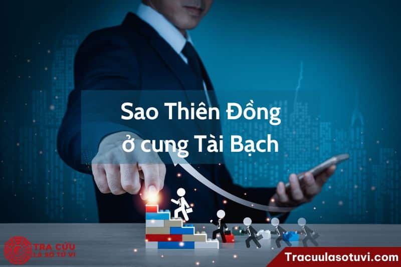 Ý nghĩa Thiên Đồng cung Tài Bạch