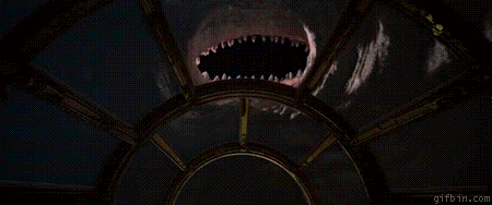 RpZy8.gif