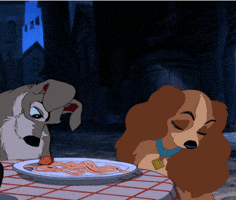 happy anniversary GIF