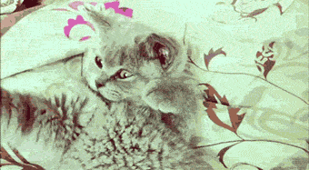 m5alv45.gif