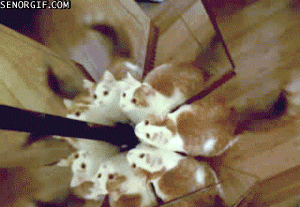 035sSMkDhkqba53I8Ly9_g2.gif