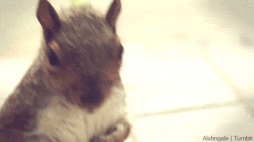 GpQk93h.gif