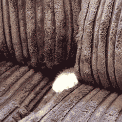 PYbof.gif