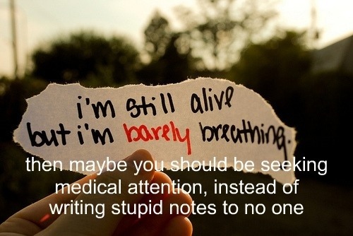 tumblr_llpn0pPLJN1qh5gh1o1_500.jpg