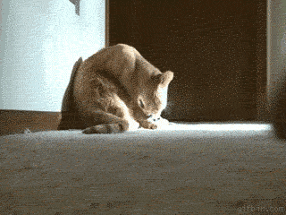 tumblr_mdwor0eMzf1ql2603o1_400.gif