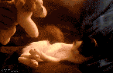 tumblr_m3z2prXrRm1rsd9coo1_400.gif