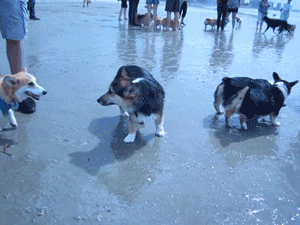 tumblr_n2wxr8AQrh1sl2md5o1_400.gif