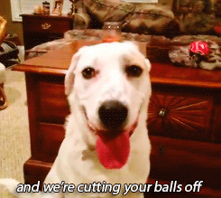 tumblr_n4ar9t2eWa1qhccx4o3_250.gif