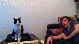 FaRomj5.gif
