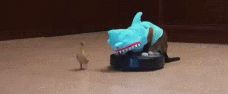 ccxEVJU.gif