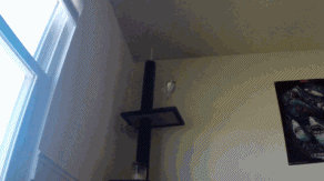 YFl9a03.gif