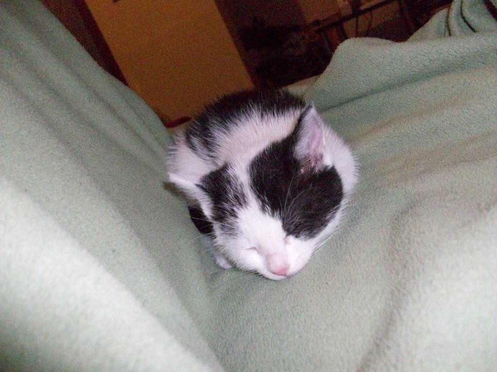 100_1262.jpg