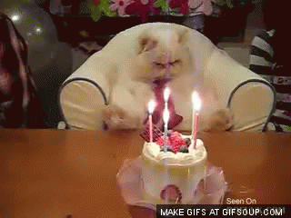 mmsOku6.gif