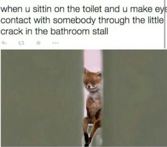 tumblr_nnj6y27ryC1tghz4zo1_540.jpg