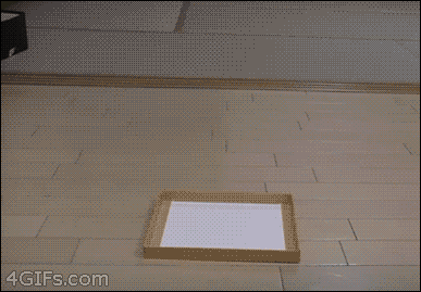 tumblr_n0pajcCuiZ1s199fdo1_400.gif