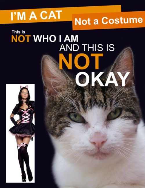 GCiyyL3.jpg