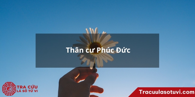 Thân cư Phúc Đức