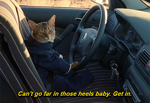 tumblr_mm4qf9zc8W1rya5w2o1_500.gif