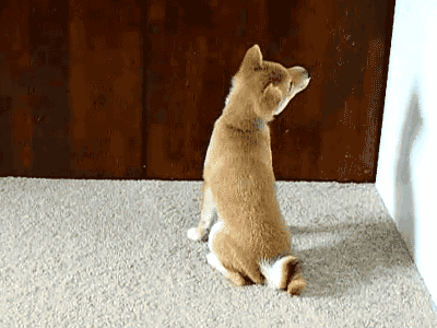 tumblr_mrnyn1I7oK1syp5suo1_400.gif