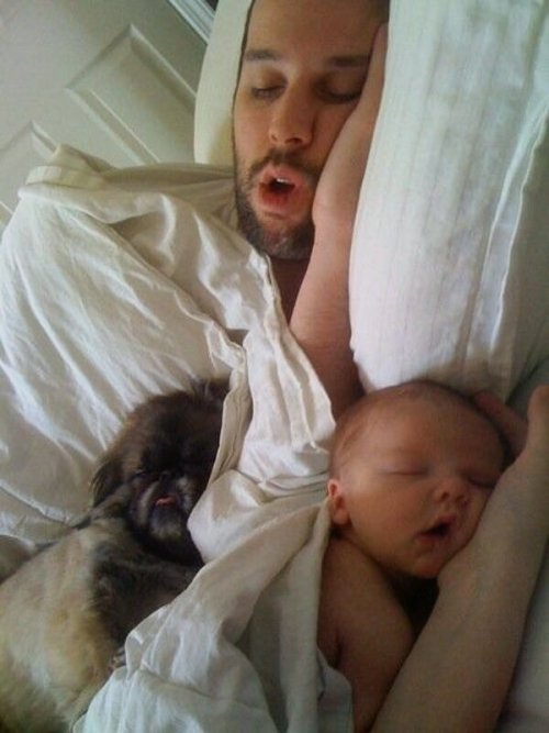 tumblr_mkmngnBN6P1ql2603o1_500.jpg