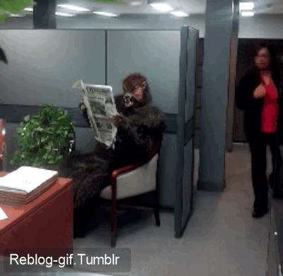 tumblr_n3xeoxbRM91t4o62mo1_400.gif